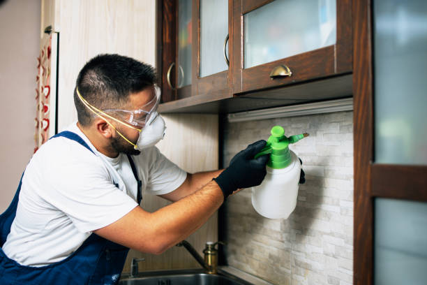 Best Best Pest Control Companies  in West Hills, NY