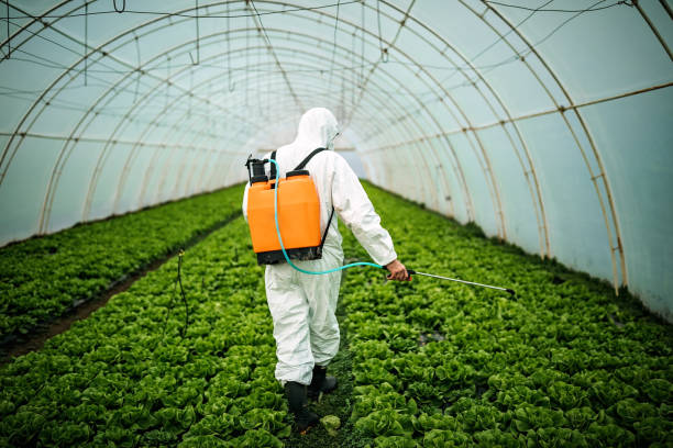 Best Affordable Pest Control Services  in West Hills, NY