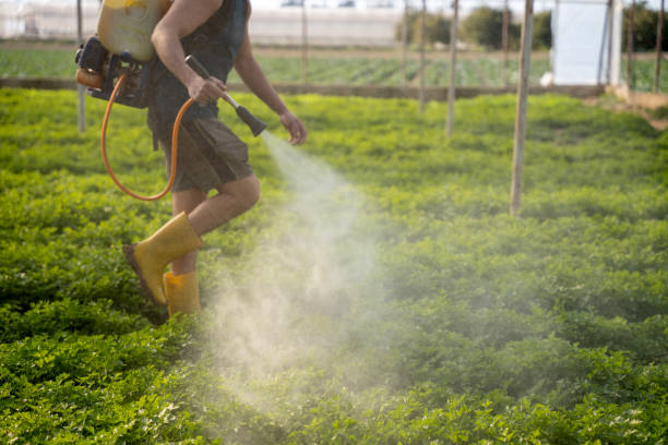 Best Pest Control Treatment  in West Hills, NY