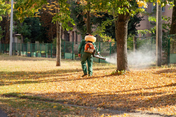 Flea Control Services in West Hills, NY