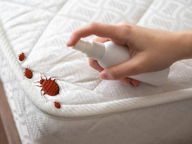 Best Pest Removal Services  in West Hills, NY