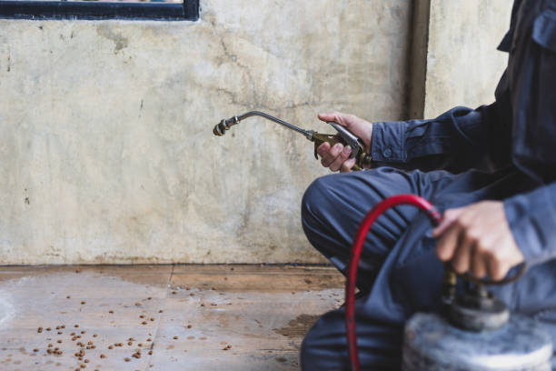 Best Emergency Pest Control  in West Hills, NY